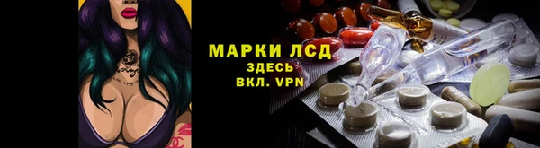 стаф Елабуга