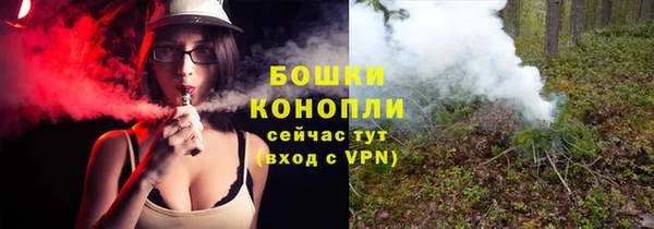дмт Арсеньев
