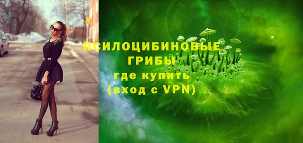дмт Арсеньев