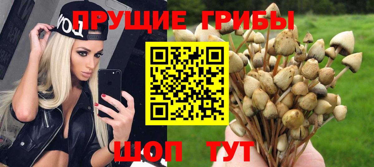 Псилоцибиновые грибы MAGIC MUSHROOMS Новомосковск
