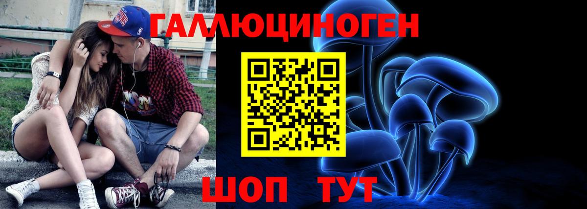Новомосковск  Псилоцибиновые грибы Magic Shrooms  Псилоцибиновые грибы ЛСД  как найти   Вход с VPN 